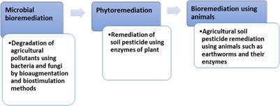 Evaluating earthworms as candidates for remediating pesticide contaminated agricultural soil: A review